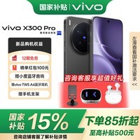 vivo X300 Pro 国家补贴 蔡司2亿APO超级长焦 蓝图影像双芯 5年持久流畅OriginOS 6 AI手机 纯粹黑 12+256GB
