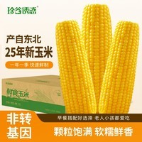 珍谷诱惑25年东北糯玉米新玉米黄糯玉米棒早餐玉米粗粮代餐零食 黄糯玉米10支 2.4kg