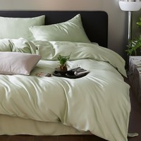 AIDLI60支兰精天丝四件套 A类莱赛尔凉感丝滑轻奢床上套件 嫩芽绿 四件套 床单款 （被套200*230cm）