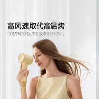 徕芬Laifen高速吹风机SE 2 速干护发电吹风 莱芬家用儿童吹风筒 SE 2蓝色（标准版）