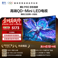 FFALCON雷鸟【价保618】 【固定挂架送装一体】鹤6 PRO 25款 85英寸 电竞游戏电视机85S595C Pro