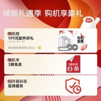 石头（roborock）石头扫地机器人扫拖一体 P10S Pro 扫拖洗烘一体机 自动集尘热水洗拖布烘干补水擦地拖地 石头P10S PRO上下水版