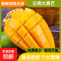 【正宗云南大青芒】青皮青芒个大肉厚核小饱满多汁大芒果新鲜发货 毛重2斤单果300g+净重1.6斤
