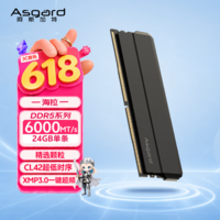 阿斯加特(Asgard)24GB DDR5 6000 台式机内存条 海拉 马甲条 精选颗粒 CL42 极夜黑 AI电脑配件升级