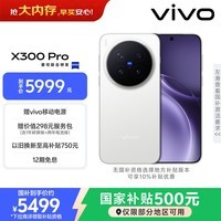 vivo X300 Pro 16GB+512GB 简单白 蔡司2亿APO超级长焦 蓝图影像双芯 5年持久流畅OriginOS 6 AI手机
