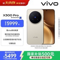vivo X300 Pro 16GB+512GB 旷野棕 蔡司2亿APO超级长焦 蓝图影像双芯 5年持久流畅OriginOS 6 AI手机