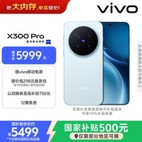vivo X300 Pro 16GB+512GB 自在蓝 蔡司2亿APO超级长焦 蓝图影像双芯 5年持久流畅OriginOS 6 AI手机