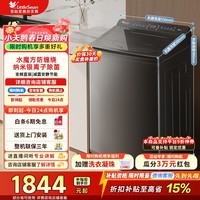小天鹅（LittleSwan）小乌梅轻奢版波轮洗衣机全自动家用 10公斤变频电机水魔方防缠绕纳米银离子除菌 家电补贴 TB10VE20D 波轮