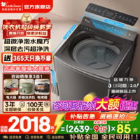 小天鹅(LittleSwan)波轮洗衣机全自动国家补贴家用10公斤小乌梅2.0水魔方变频防缠绕 一级能效 后控触屏护腰 以旧换新 【小乌梅2.0标准版】超微净泡+净渍洗去污升级 波轮