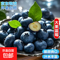 国产云南超大果蓝莓【多地次日达JD快递】精选新鲜蓝莓 孕妇水果 4盒装 多买多划算【70-90g/盒】 中果【单果15mm+】