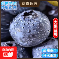 云南国产蓝莓【多地次日达JD快递】超大果新鲜蓝莓 精选孕妇水果 4盒装 多买多划算【70-90g/盒】 中果【单果15mm+】