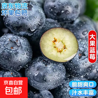 云南国产蓝莓超大果【多地次日达JD快递】精选新鲜蓝莓 孕妇水果 4盒装 多买多划算【70-90g/盒】 中果【单果15mm+】