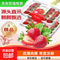 安徽奶油红颜99草莓当季水果现摘现发盒装无农残安心水果放心吃 4盒装【精选送礼自用】 单盒净重(200g-300g)【单果12g+】