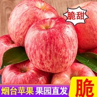 甜醉了 烟台苹果栖霞红富士新鲜水果生鲜山东特产脆甜整箱平果礼盒礼品 红富士净重4.5斤75-80mm