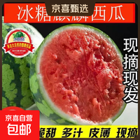 精品麒麟西瓜安徽砀山正宗爆汁西瓜 带箱5-6斤一个装
