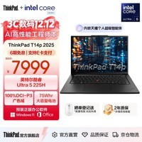 ThinkPadT14p AI 2025 全新酷睿Ultra处理器 联想14.5英寸3K高性能标压工程师本笔记本电脑 Ultra 5-225H 32G 1TB-01CD