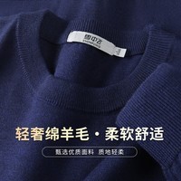 雪中飞（SNOWFLYING）【含绵羊毛】秋冬厚款时尚休闲舒适纯色圆领长袖男式针织衫