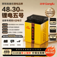 功孚锂电五号电动车锂电池48V30Ah大容量电瓶车电摩电池雅迪爱玛台铃