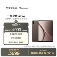 一加平板 3 Pro 国家补贴 13.2英寸平板电脑 第五代骁龙8至尊版 12GB+256GB 深棕 办公学习游戏平板