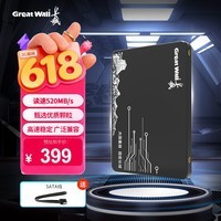长城（Great Wall）480GB SSD固态硬盘 SATA3.0接口 读速520MB/S台式机/笔记本通用 GW520系列