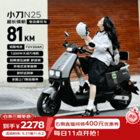 小刀电动摩托车 N25长续航大动力1200W大电机电摩72v20ah铅酸摩托车代步通勤长途 亚光能量灰/新磨砂黑