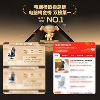 黑白调P1人体工学椅电脑椅办公椅子人工力学座椅电竞椅学习椅家用