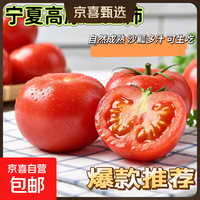 正宗水果番茄沙瓤西红柿农家自种新鲜自然熟生吃柿子生鲜早餐减肥 带箱2斤装单果100g+