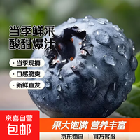 蓝莓鲜果新鲜水果云南蓝莓高山花香怡颗大果产地直发京东快递 品质中果【单果15mm+】 4盒小份装【70g/盒】