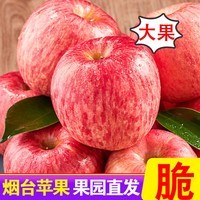 甜醉了 烟台苹果栖霞红富士新鲜水果生鲜山东特产脆甜整箱平果礼盒礼品 净重5斤 85mm