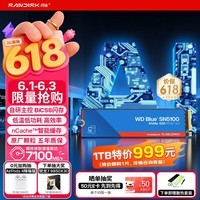 闪迪（SanDisk）ssd固态硬盘 NVMe M.2接口 AI台式机存储 笔记本升级硬盘 原厂颗粒不虚标不掉速 SN5100 | PCle4x4 7100MB/s 大容量 【1TB】