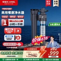 安吉尔商用净水器J2810系列大流量奶茶店餐饮店便利店净水机 咖啡机制冰机专用自来水过滤器大出水量 J2810-CS500a【2芯】总净水量30吨
