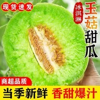 果当爱山东头茬玉菇冰淇淋甜瓜时令新鲜孕妇水果【当天发货】软糯甜香瓜 5斤【软糯香甜严选果|单果1.5斤起】净重4.5斤