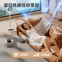 格力(GREE)【织风者青春版】一级能效直流变频轻音空气循环扇家用遥控电风扇香薰循环扇 FXDZ-20X81Bg5