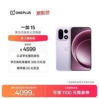 一加 15 16GB+512GB 雾光紫 oppo 第五代骁龙 8 至尊版 165Hz超高刷 旗舰游戏电竞5G智能手机 国家补贴