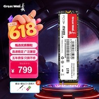长城(Great Wall)1TB SSD固态硬盘 M.2接口(NVMe协议)PCIe 3.0 GW3300系列