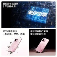 OPPO A6 5G 手机 耐用新一代 强悍更流畅 越级流畅双引擎 IP69 满级防水 手机 国家补贴 粉梦生花 12GB+512GB