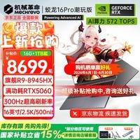 机械革命(MECHREVO)蛟龙16Pro 2026旗舰5060游戏本5070/Ti锐龙R9HX强芯16英寸苍龙学生电竞设计笔记本电脑 R9-8945HX/5060 16G-1T 热销款