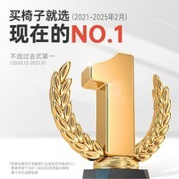 西昊 M76A 电脑椅家用办公椅子学习椅宿舍椅人体工学椅学生电竞椅