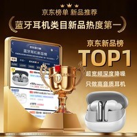 弱水时砂【2026最新款丨重磅新品】欧泊入耳式蓝牙耳机真无线主动降噪适用于苹果华为vivo荣耀OPPO小米手机