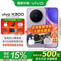 vivoX300 国家补贴新品5G旗舰vivo x300上市  蔡司2亿超级主摄APO超级长焦5年持久流畅AI手机办公拍照 惬意紫 12GB 256GB 官方标配版