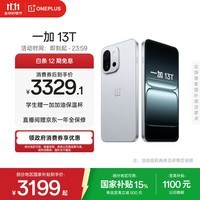 一加 13T 16GB+512GB 晨雾灰 旗舰小直屏 骁龙 8 至尊版 冰川电池  AI 5G游戏oppo手机 国家补贴			