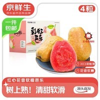 京鲜生树熟软糯红心芭乐 4个装单果130g+ 新鲜番石榴 源头直发包邮