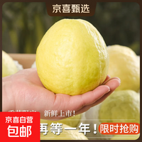 奶油白心红心芭乐 新鲜软糯低卡低热量轻食首先水果 广东3斤带箱（红心）单果100g起净重2.7斤