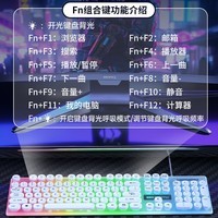 朋克风键盘高颜值发光有线USB键鼠套装悬浮键帽静音游戏办公通用 鼠标（黑色） 有线