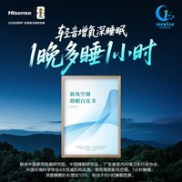 海信（Hisense）新风空调X3 2匹 增氧新风 AI省电 轻音不打扰 新一级能效 空调挂机  国家补贴以旧换新 2匹一级能效海信新风空调X3