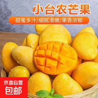 正宗台芒果园直采海南热带水果新鲜采摘 带箱2斤 【单果70-100g】