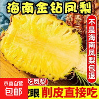 【商超品质】海南凤梨新鲜水果树熟香水菠萝金钻凤梨大果孕妇水果 净重4.5-5斤 单果650克+