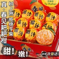 顶掌柜四川春见耙耙柑粑粑柑9斤正宗水果新鲜整箱当季包邮丑桔橘杷杷柑 9斤 【大果】高性价比，吃货必备  80-85mm