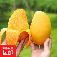 京喜加海南台芒新鲜芒果生鲜水果时令鲜果 净重5斤60+