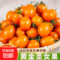 广西柿季辉煌圣女果樱桃小柿子黄色玲珑小番茄寿光现摘现发 5斤（带箱）